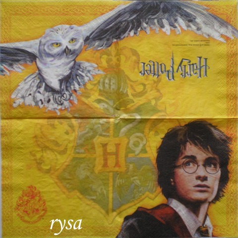Harry Potter 2.jpg
