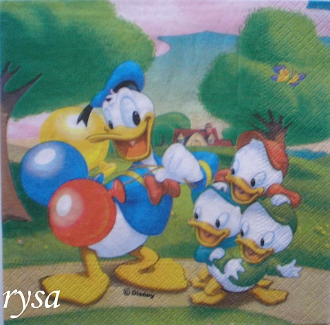 Kačer Donald 1.jpg