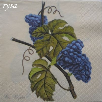 Hroznové víno 9.jpg