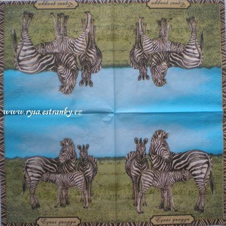 sada 02 - zebra.jpg