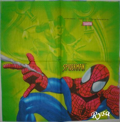 Spider-man 1.jpg