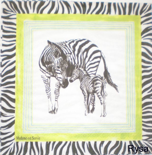 zebra 1.jpg