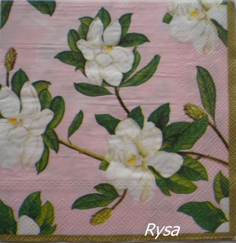 magnolie 02