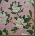 magnolie 02